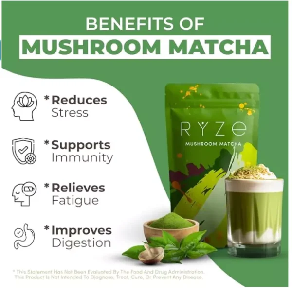 RYZE Mushroom Matcha 6 Adaptogenic Mushroom USDA Organic Turkey Tail 30 servings