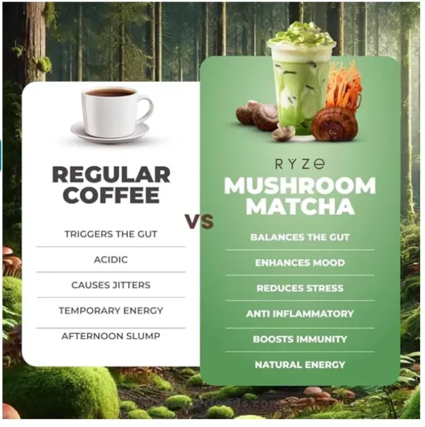 RYZE Mushroom Matcha 6 Adaptogenic Mushroom USDA Organic Turkey Tail 30 servings
