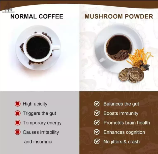 2024 New RYZE Mushroom Coffee Organic Coffee 30 Servings in one Pack